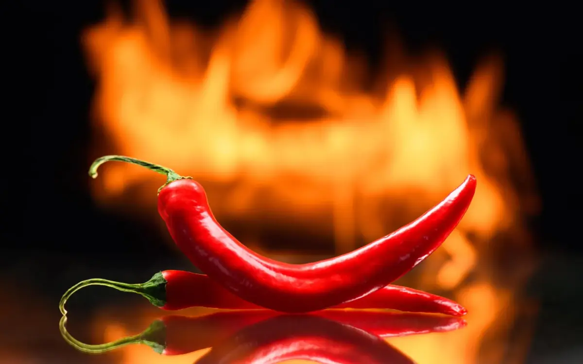 Eating chili peppers may raise the risk of one deadly cancer